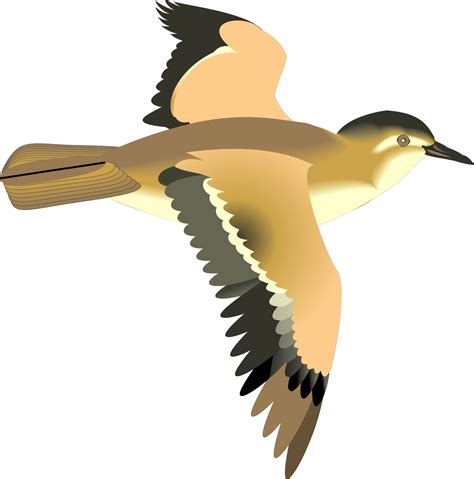 Flying Birds Clip Art Ciij Animated Flying Bird Png Transparent Png