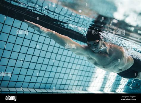Young Man Swimming The Front Crawl In A Pool Underwater Shot Of Pro