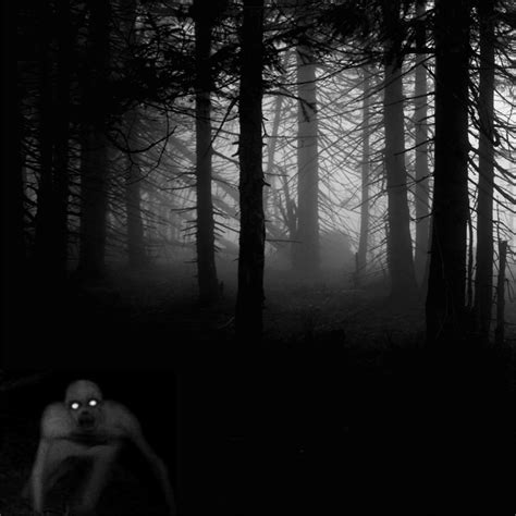 be aware of opportunities and mysteries haunted forest living dead forest