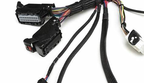 Chevy 6.0 Wiring Harness