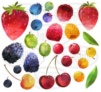 Watercolor Berries Clipart By Digitalartsi Teachers Pay Teachers