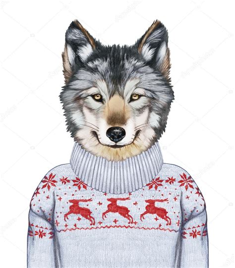 Portrait Of Wolf In Sweater Stock Photo By ©victorianovak 110739652