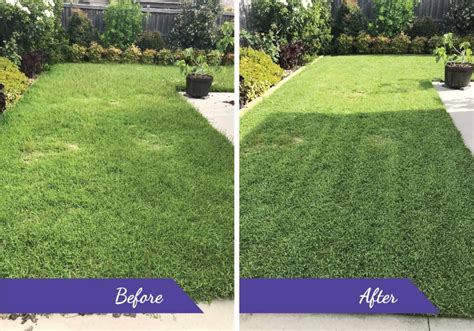 Before And After 01 Lawn Mowing Pro Cut Lawns