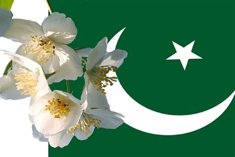 Pakistan Flag Wallpapers Hd 2018 ·① Wallpapertag Pakistan Flag