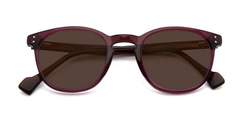 tortoise clear narrow wayfarer acetate tinted sunglasses with champagne sunwear lenses echo