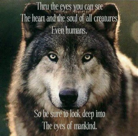 Alpha Wolf Quotes Wallpaper