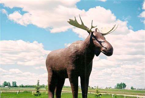 It's just off the highway, how can you not visit and get a picture with the tallest moose in the world. How Do We Make Mac the Moose the Tallest in the World ...