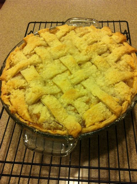 How To Cook Perfect Paula Dean Pie Crust Prudent Penny Pincher