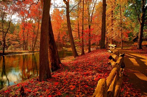 Hojas De Otoño Espectaculares Fotos Autumn Landscape Forest Falls