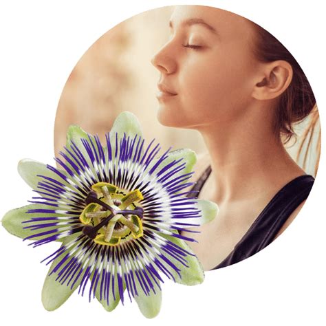 Sehnst du dich nach dauerhaften frieden?dann hör genau hin: Inneren Frieden finden - Was ist Passiflora Curarina®?
