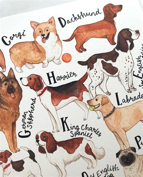 Dog Art Print Dog Wall Art Dog Poster Dog Breeds Chart Etsy
