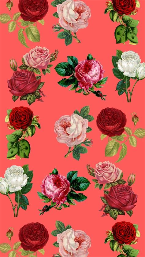 Supreme Floral Iphone Wallpapers Top Free Supreme Floral