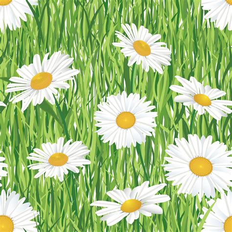 Floral Seamless Pattern Meadow Summer Flowers 524475 Vector Art At
