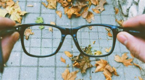 Für Ein Leben Ohne Brille Gesunder KÖrper