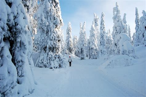 How finland is represented in the different eu institutions, how much money it gives and receives, its political system and political system. Embrace or Baulk the Baltic Temperatures