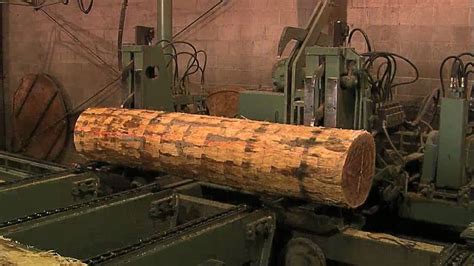 Logging And Veneer Process No Narration Youtube