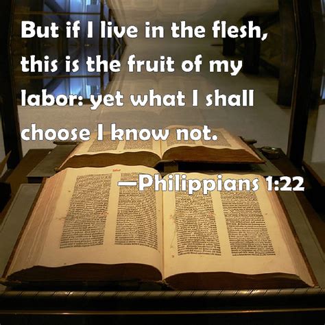 Fruits of my labor by lucinda williams cover. Philippians 1:22 But if I live in the flesh, this is the ...