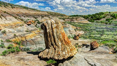 Petrified Forest North Us National Park Service