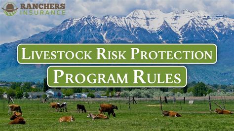 Livestock Risk Protection Program The Rules Youtube