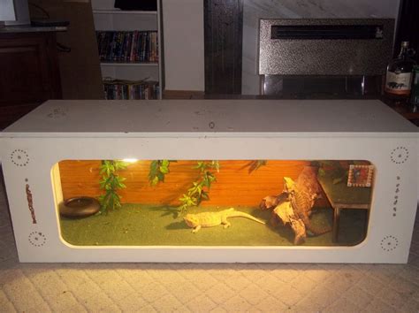 Diy bearded dragon cage can be customized to meet your specific needs. Diy bearded dragon enclosure | Plants! Aquascaping ...