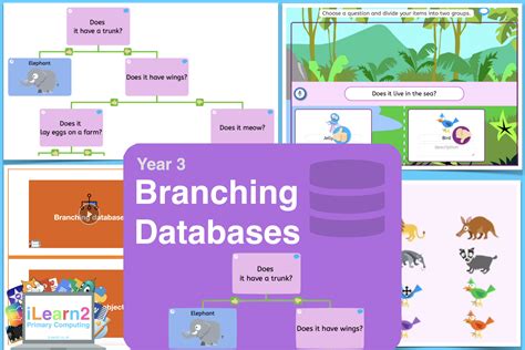 year 3 branching databases activity pack ilearn2 primary computing made easy
