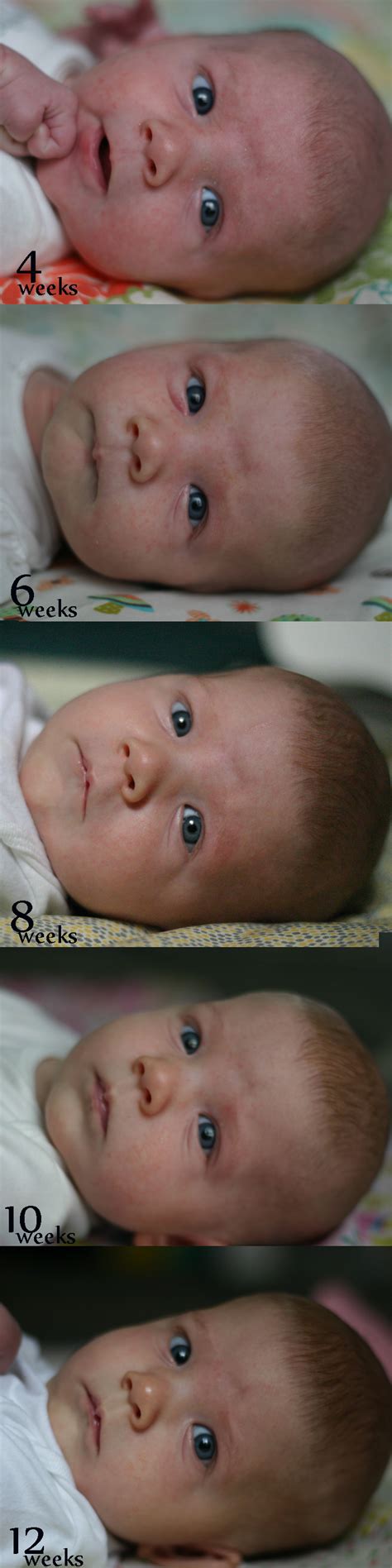 Creating A Every Changing Face View As Your Baby Grows Two Weeks Seems