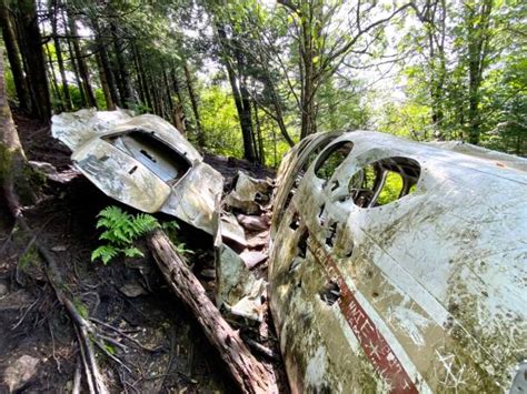 Plane Crash Forest Stock Photos Pictures And Royalty Free Images Istock
