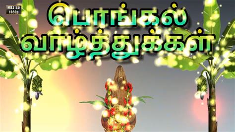 Pongal festival day pictures and images. {Best*} Happy Pongal Wishes Images Quotes Pictures Photos ...