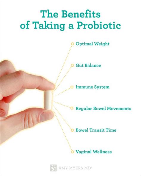 What Happens When You Stop Taking Probiotics Amy Myers Md