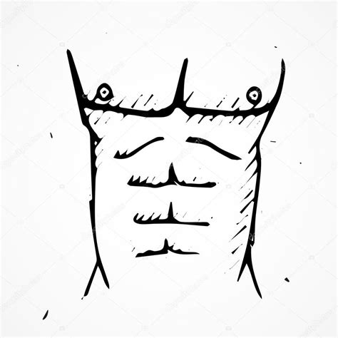 Hand Drawn Human Torso Muscles — Stock Vector © Dimgroshev 37388961