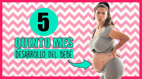 ️ ¿cómo Se Ve Un Bebé De 5 Meses De GestaciÓn 📆 Quinto Mes De Embarazo Cambios En La Madre [mes