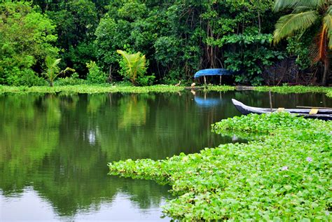 Kerala Backwaters Discovering India