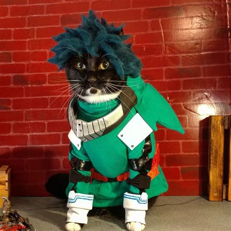 Pin By Vanille Vanille On Boku No Hero Academia Cat Cosplay Anime Cat Cat Costumes