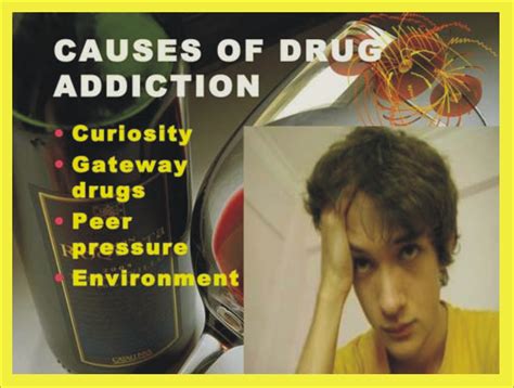 Causes Of Addiction Addiction