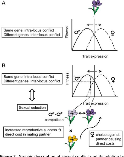 Figure 2 From Using Theories Of Sexual Selection And Sexual Conflict To Improve Our