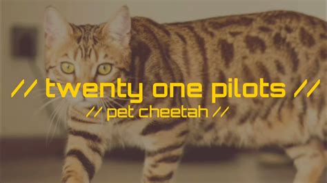 Pet Cheetah Twenty One Pilots Subtitulado Al Español Blurrychems