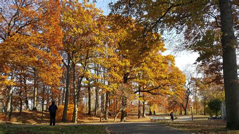 Fall Foliage In Parks Nyc Parks