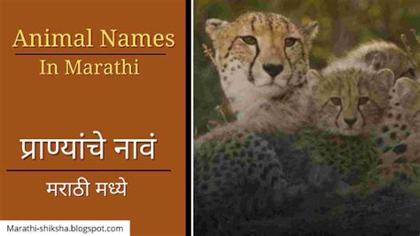 Top 100 Animals In Marathi
