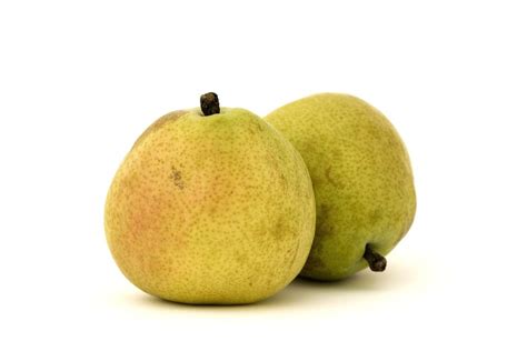 Danjou Pear Information Tips On Caring For Danjou Pear Trees