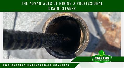 Advantages Of Hiring A Professional Drain Cleaner
