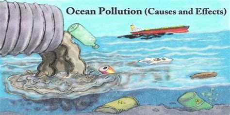 Ocean Pollution Causes And Effects Assignment Point My XXX Hot Girl