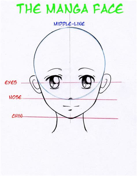 Manga Basic Head By Nevaart On Deviantart