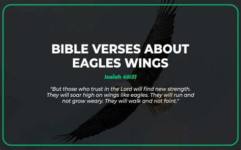 Top 27 Bible Verses About Eagles Wings Scripture Savvy
