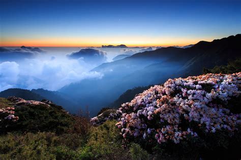 2048x1365 Mountain Photo Flowers Morning Fog Coolwallpapersme