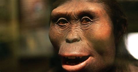 New Ancient Human Species Discovered By Scientists