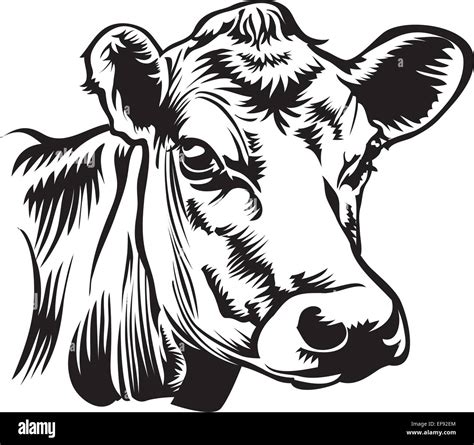 A Cows Head Stock Vector Art And Illustration Vector Image 78260860