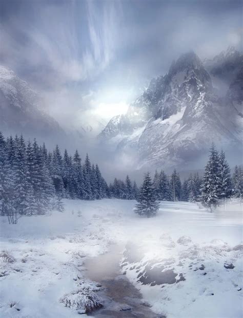 Winter Scenery Vinyl Cloth Snow Forest Mountain Photography Backdrops