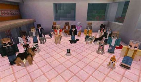 Players Can Unlock Doggy Daycare In Minecraft