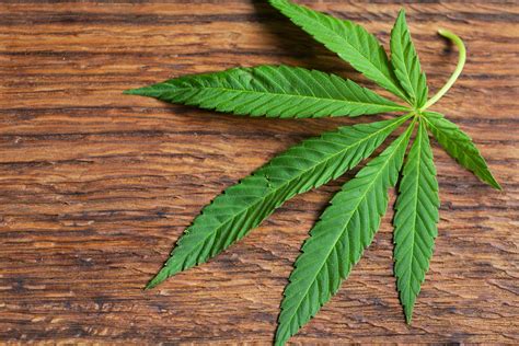Erie to Welcome Second Medical Marijuana Dispensary - Erie ...