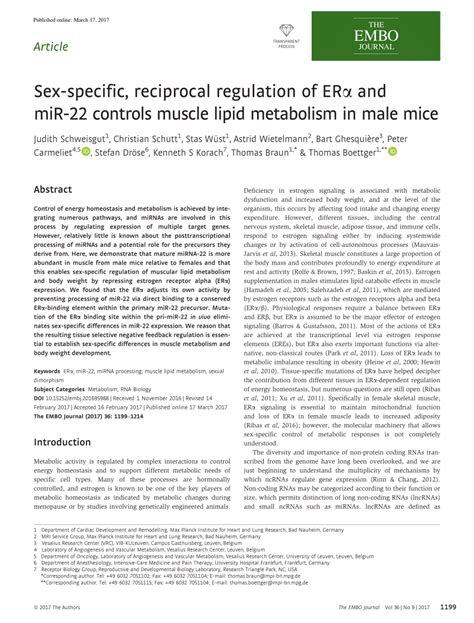 pdf sex‐specific reciprocal regulation of erα and mir‐22 controls muscle lipid metabolism in